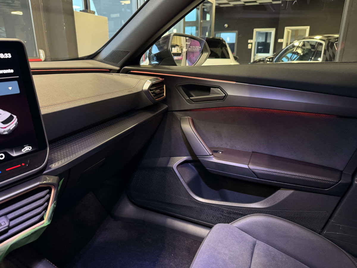 Cupra Formentor Formentor 2.0 TDI (16)