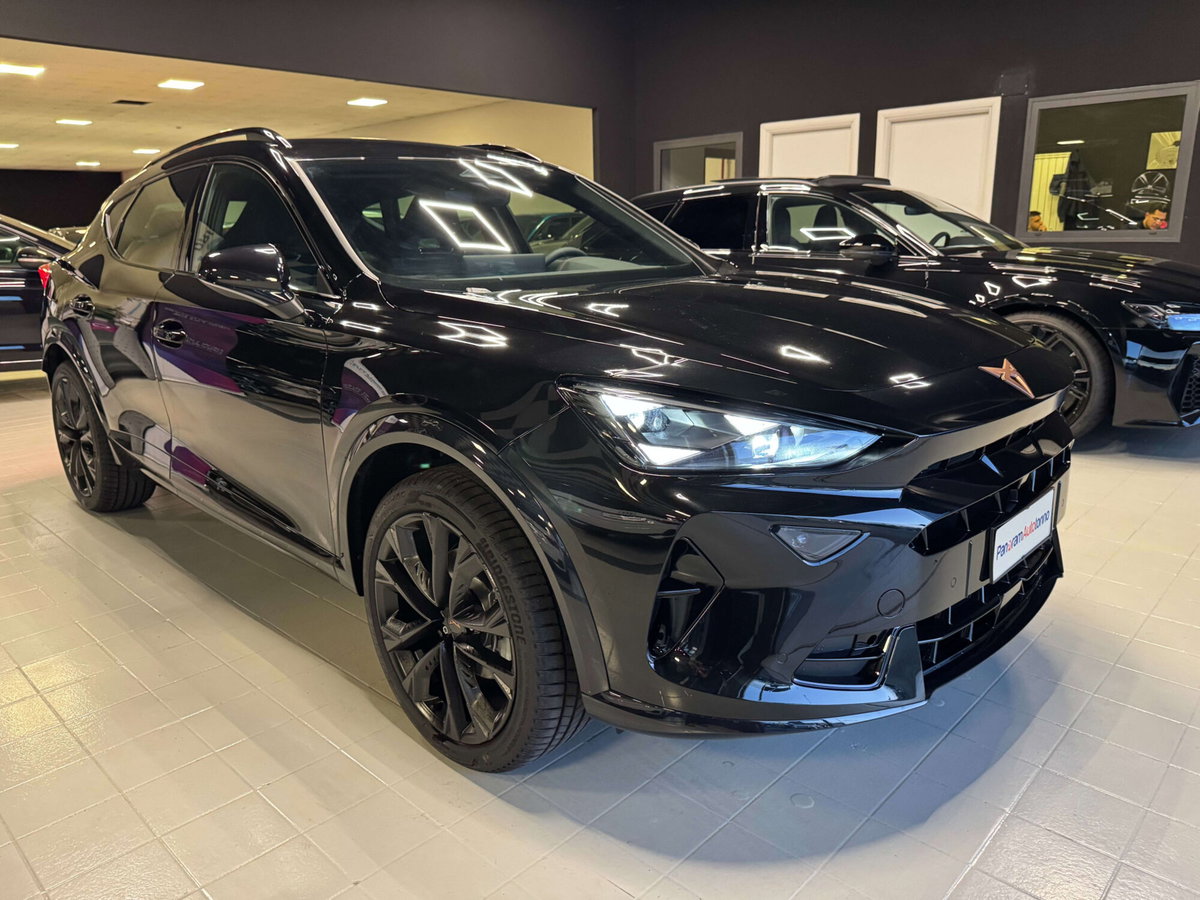 Cupra Formentor Formentor 2.0 TDI (8)