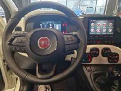 Fiat Panda Cross Cross 1.0 FireFly S&S Hybrid (10)