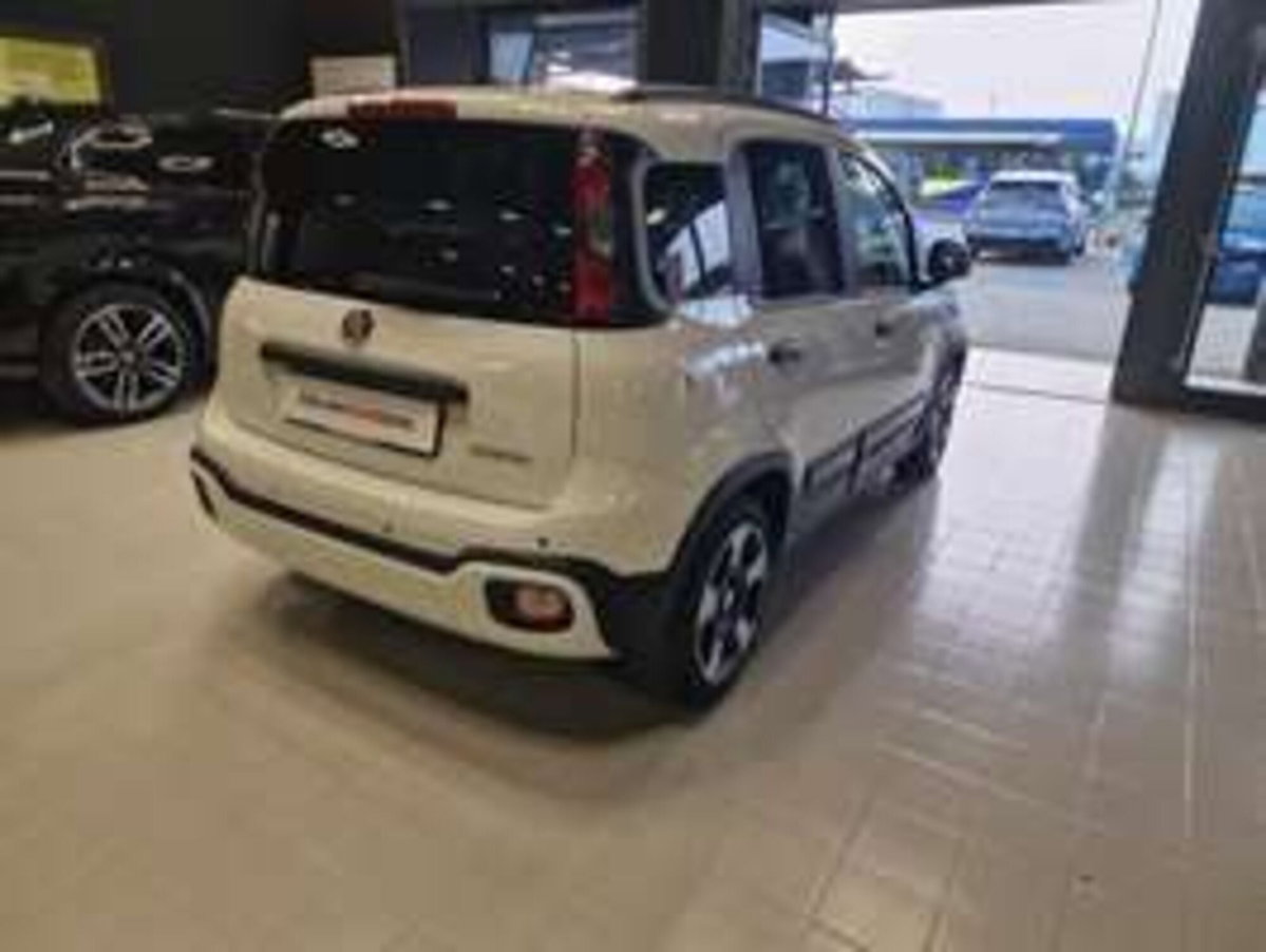 Fiat Panda Cross Cross 1.0 FireFly S&S Hybrid (3)