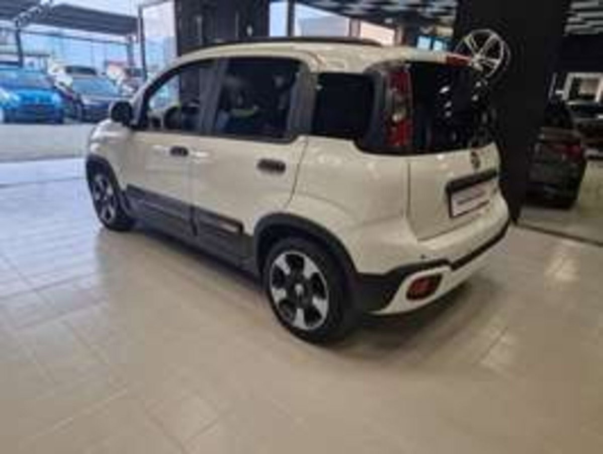 Fiat Panda Cross Cross 1.0 FireFly S&S Hybrid (4)