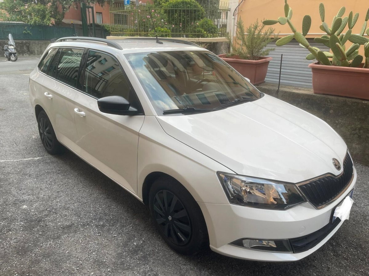 Skoda Fabia Station Wagon 1.4 TDI 75 CV Wagon Ambition (2)
