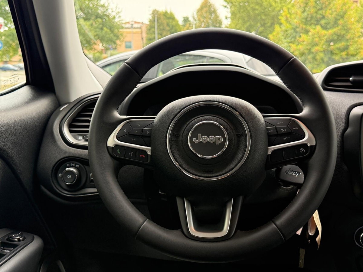 Jeep Renegade 1.6 Mjt 130 CV Longitude (13)