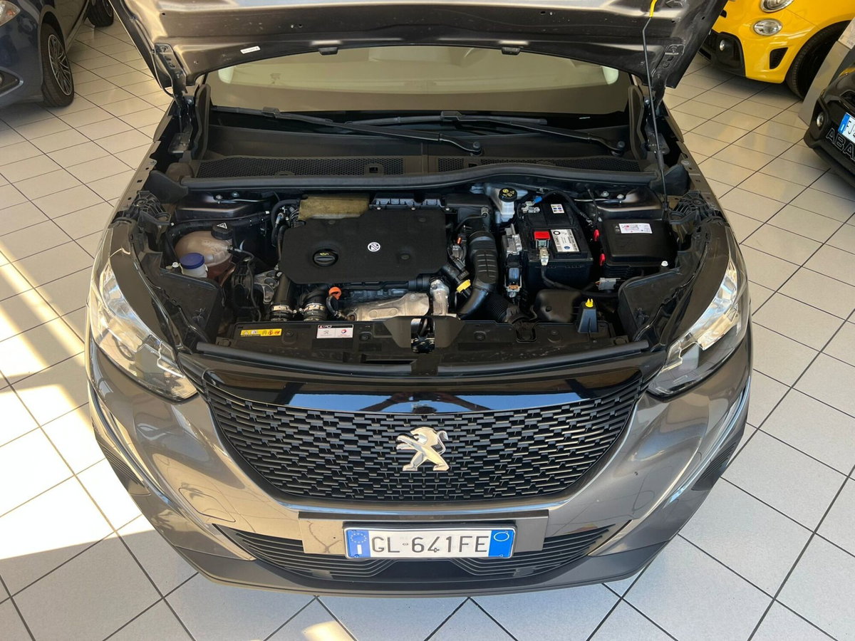 Peugeot 2008 BlueHDi 110 S&S GT (14)