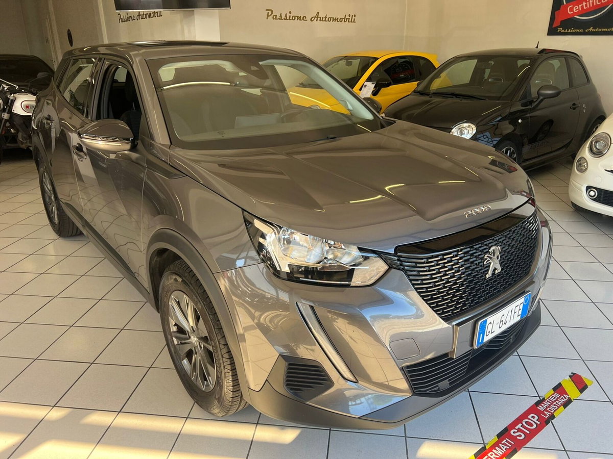 Peugeot 2008 BlueHDi 110 S&S GT (3)
