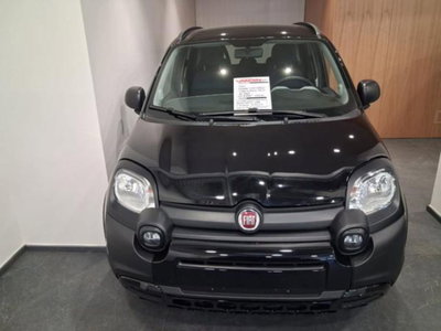 Fiat Panda 1.0 FireFly S&S Hybrid City Cross usata