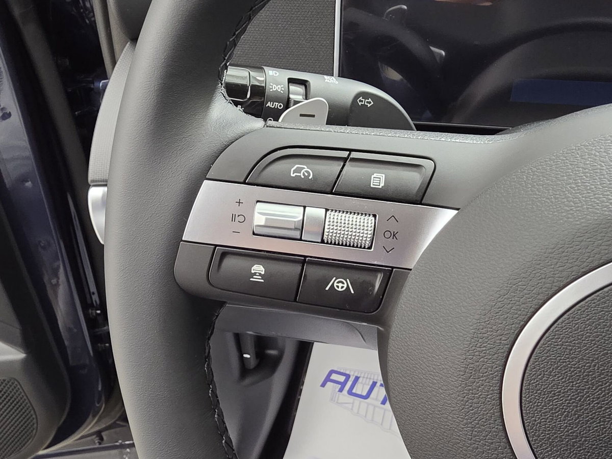 Hyundai Tucson 1.6 hev Business 2wd 239cv auto (16)