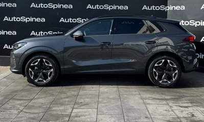 Cupra Terramar 1.5 hybrid 150cv dsg (2)