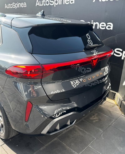 Cupra Terramar 1.5 hybrid 150cv dsg (7)