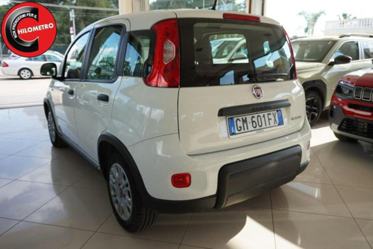 Fiat Panda 1.0 firefly hybrid s&s 70cv 5p.ti (6)
