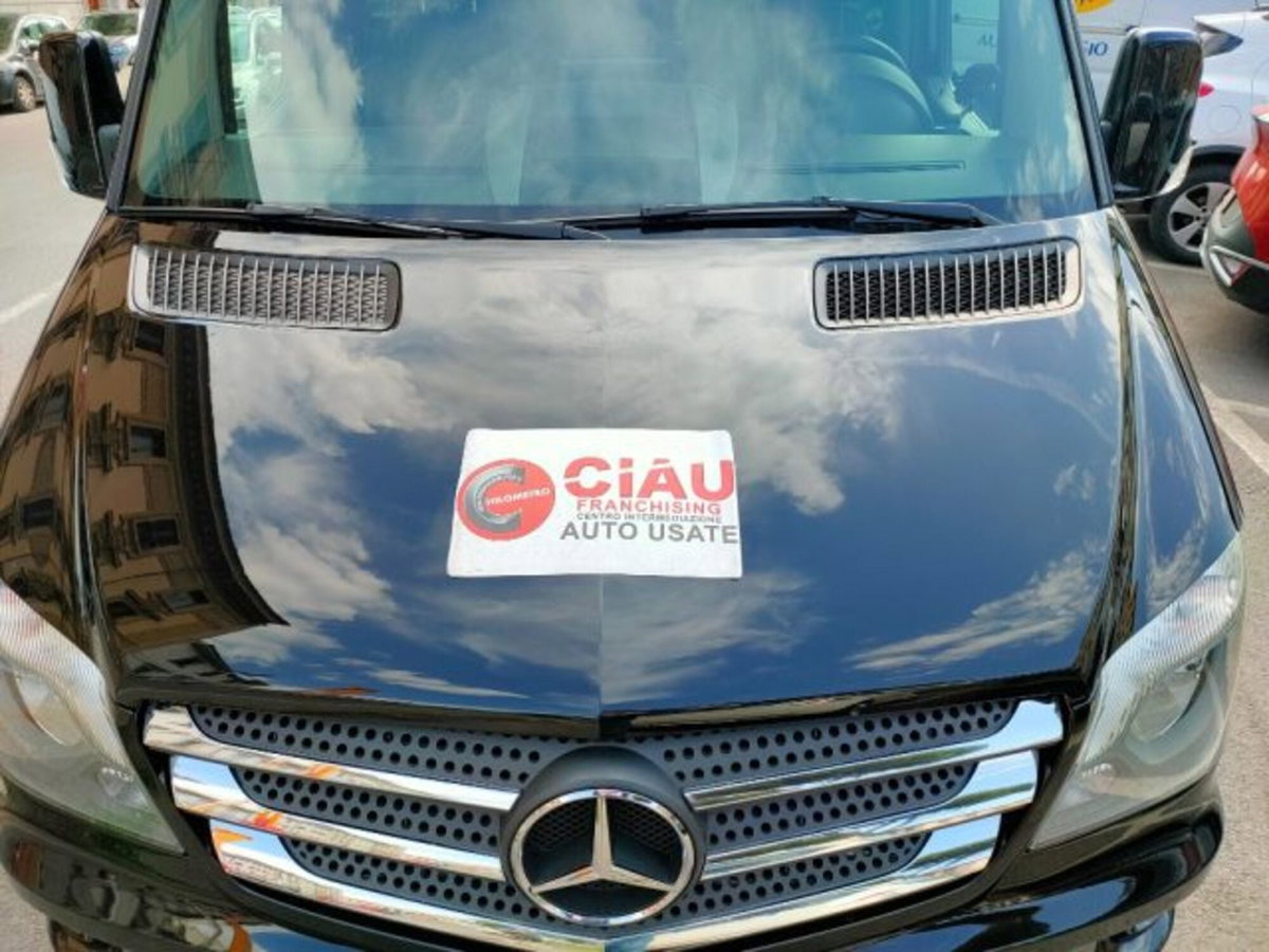 Mercedes-Benz Sprinter K37/35 316 CDI RWD TN Tourer (19)