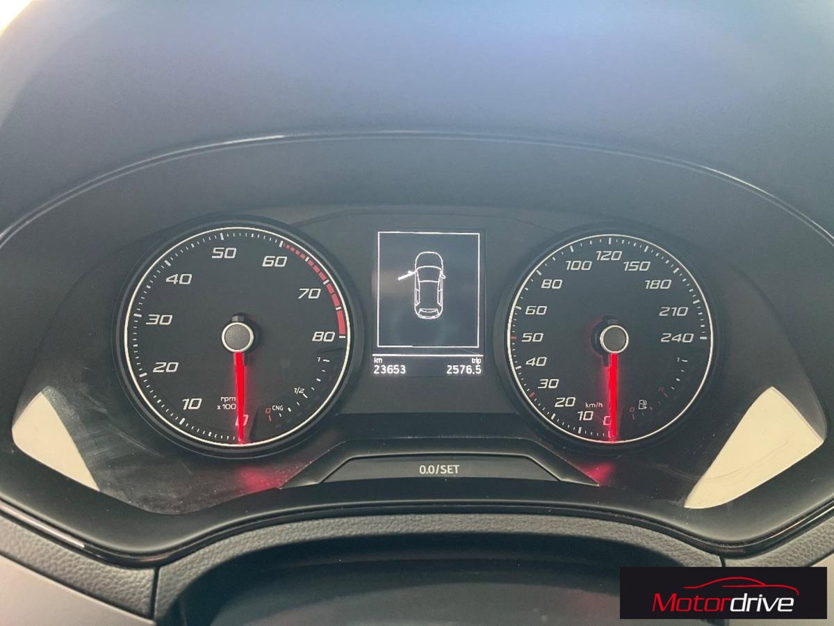 SEAT Ibiza 1.0 TGI 5 porte Business (9)
