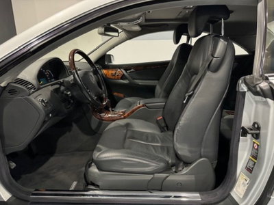 Mercedes-Benz CL 500 cat (13)