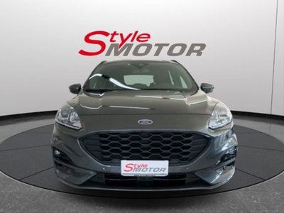 Ford Kuga 2.0 EcoBlue 120 CV aut. 2WD ST-Line X usata