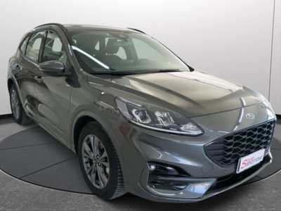 Ford Kuga 2.0 EcoBlue 120 CV aut. 2WD ST-Line X (2)