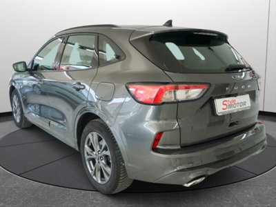 Ford Kuga 2.0 EcoBlue 120 CV aut. 2WD ST-Line X (3)
