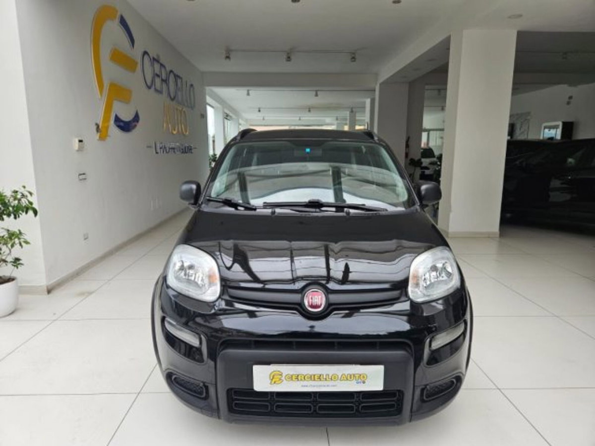 Fiat Panda 1.0 firefly hybrid s&s 70cv 5p.ti