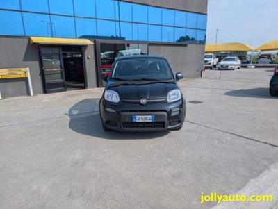 Fiat Panda 1.0 firefly hybrid s&s 70cv 5p.ti (2)