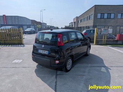 Fiat Panda 1.0 firefly hybrid s&s 70cv 5p.ti (5)