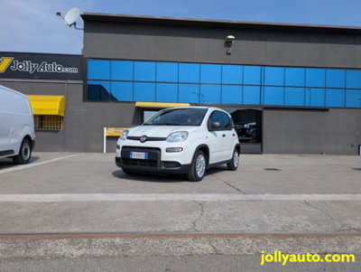 Fiat Panda 1.0 firefly hybrid s&s 70cv 5p.ti (19)