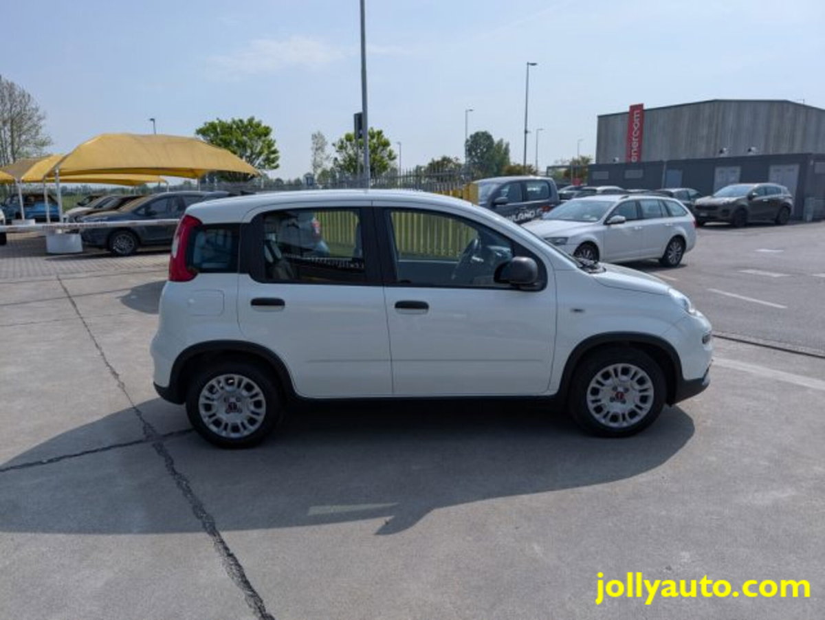 Fiat Panda 1.0 firefly hybrid s&s 70cv 5p.ti (4)