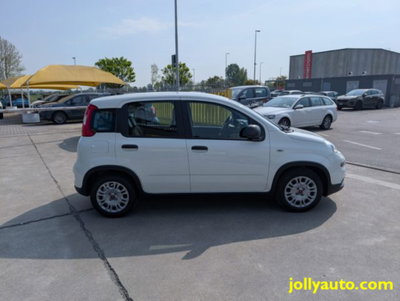 Fiat Panda 1.0 firefly hybrid s&s 70cv 5p.ti (4)