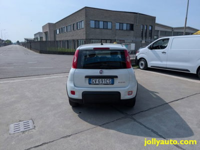 Fiat Panda 1.0 firefly hybrid s&s 70cv 5p.ti (6)