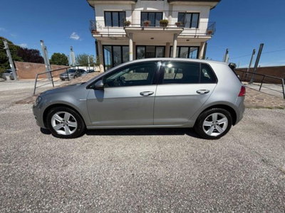 Volkswagen Golf 1.4 TGI 5p. Highline BlueMotion (6)