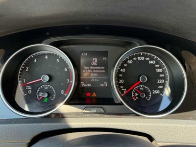 Volkswagen Golf 1.4 TGI 5p. Highline BlueMotion (8)