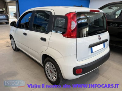 Fiat Panda 1.0 firefly hybrid s&s 70cv 5p.ti (2)