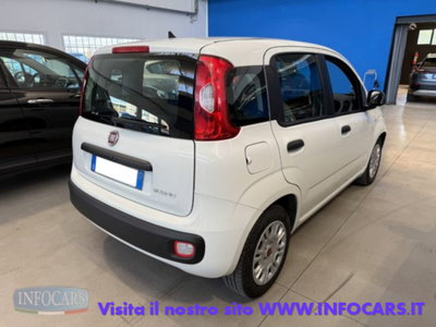 Fiat Panda 1.0 firefly hybrid s&s 70cv 5p.ti (4)