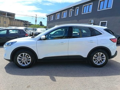 Ford Kuga 1.5 EcoBlue 120 CV 2WD Titanium usata