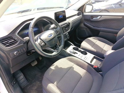 Ford Kuga 1.5 EcoBlue 120 CV 2WD Titanium (10)