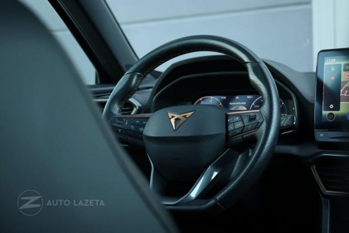Cupra Formentor Formentor 2.0 TDI (11)