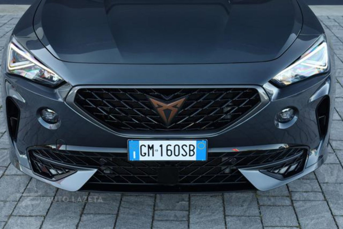 Cupra Formentor Formentor 2.0 TDI (15)