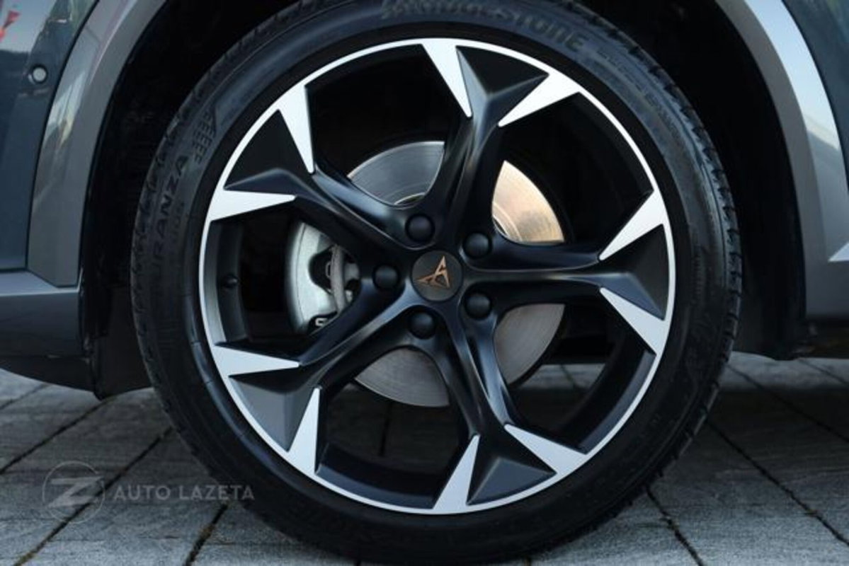 Cupra Formentor Formentor 2.0 TDI (18)