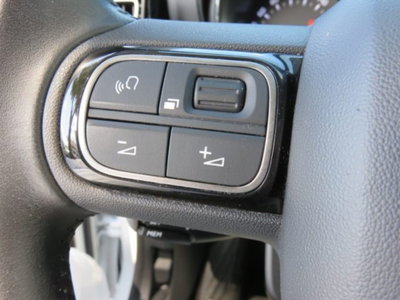 Citroen C3 Aircross BlueHDi 110 S&S Feel (10)