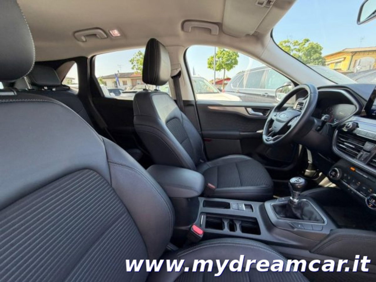 Ford Kuga 1.5 EcoBlue 120 CV 2WD Titanium (11)