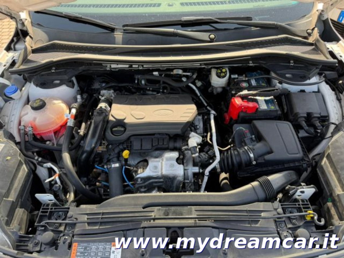 Ford Kuga 1.5 EcoBlue 120 CV 2WD Titanium (12)