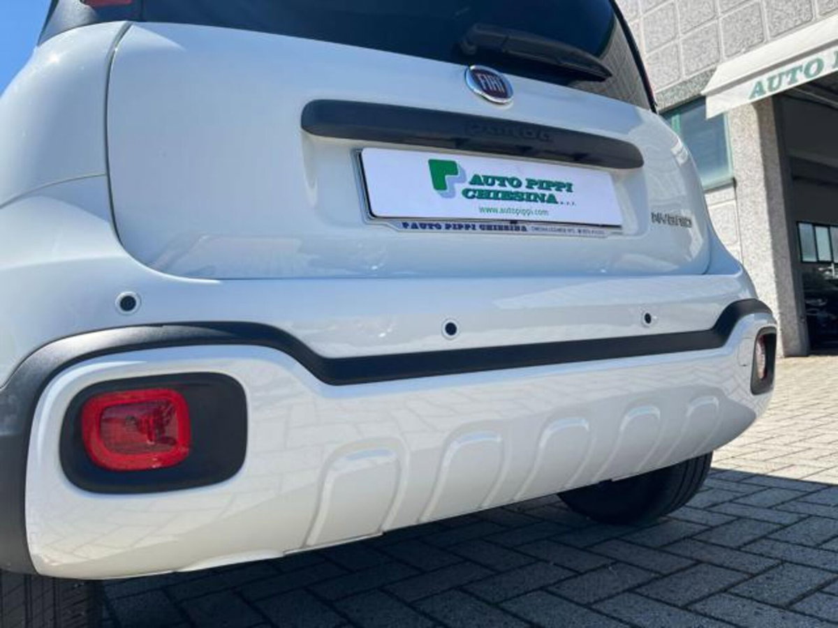 Fiat Panda 1.0 firefly hybrid s&s 70cv (18)