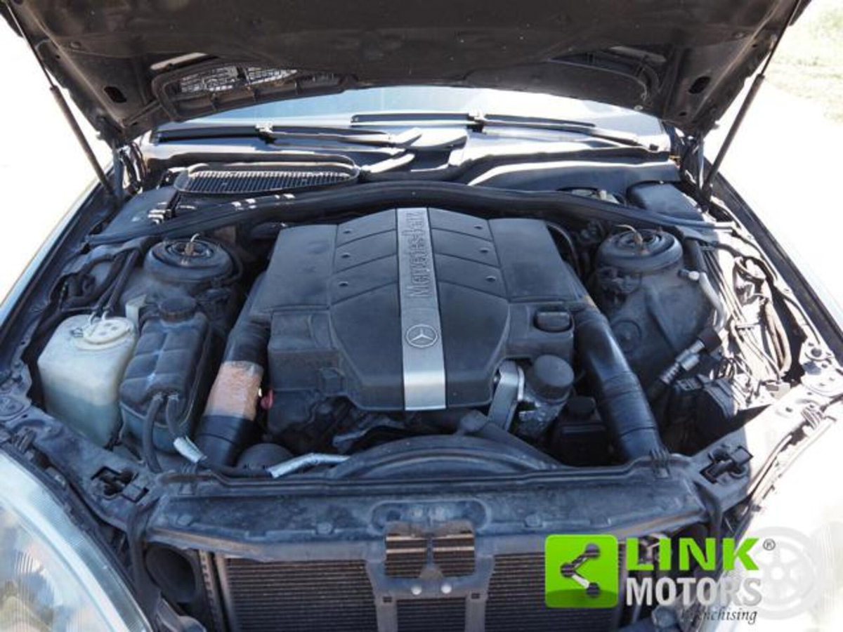 Mercedes-Benz Classe S 320 cat (20)