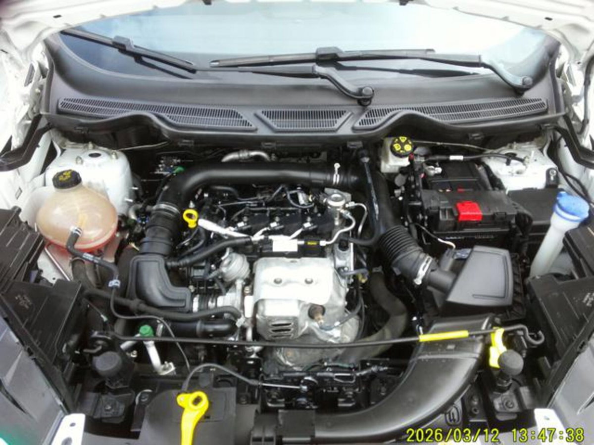 Ford EcoSport 1.0 EcoBoost 125 CV Start&Stop aut. ST-Line Plus (11)