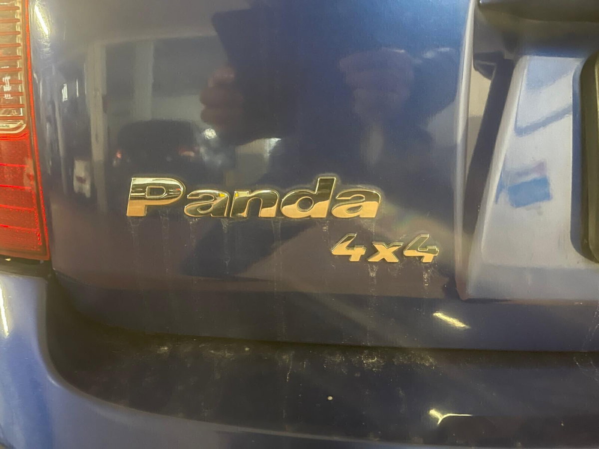 Fiat Panda 1.3 MJT 16V 4x4 Climbing (14)