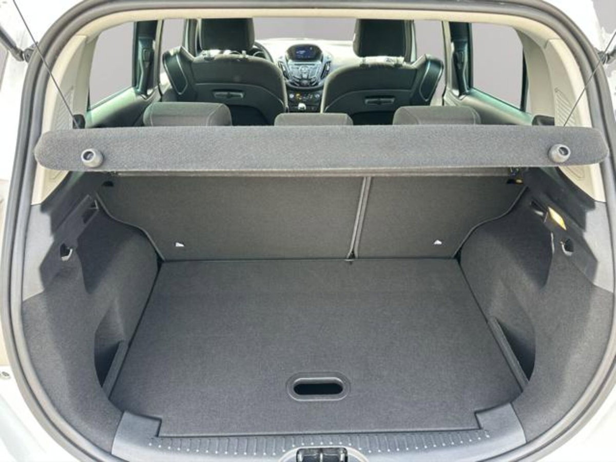 Ford B-Max B-Max 1.5 TDCi 75 CV Titanium (15)