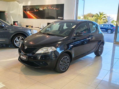 Lancia Ypsilon 1.2 69 CV 5 porte Platinum usata