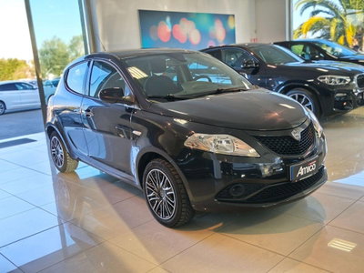 Lancia Ypsilon 1.2 69 CV 5 porte Platinum (3)