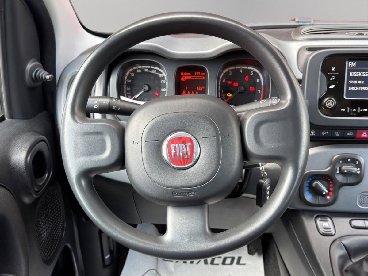 Fiat Panda 1.0 FireFly S&S Hybrid City Cross (10)