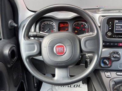 Fiat Panda 1.0 FireFly S&S Hybrid City Cross (10)