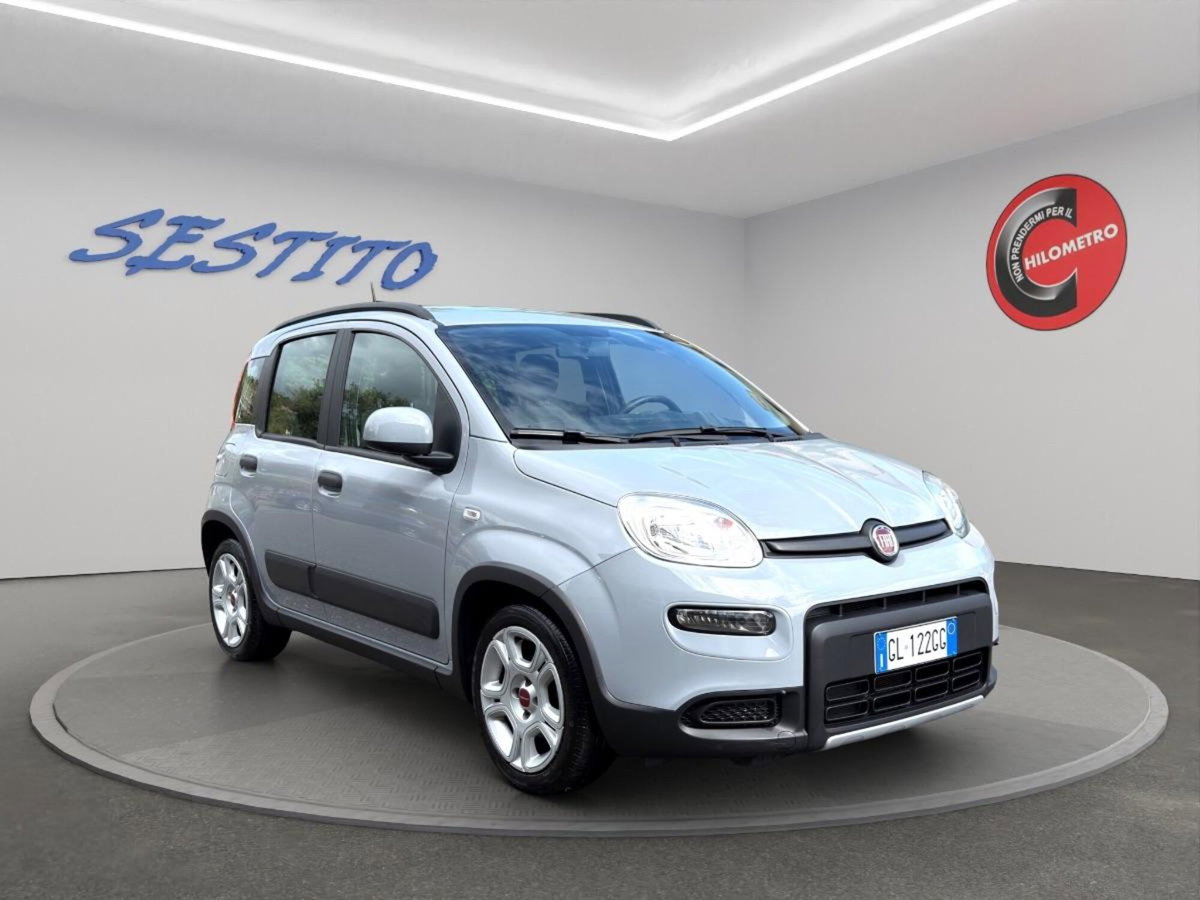 Fiat Panda 1.0 FireFly S&S Hybrid City Cross (3)