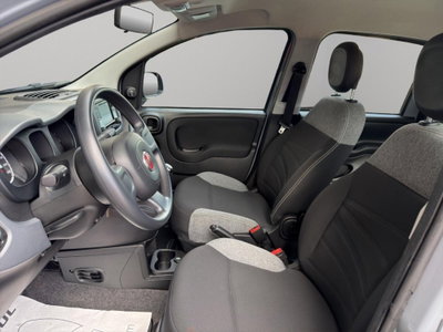 Fiat Panda 1.0 FireFly S&S Hybrid City Cross (9)